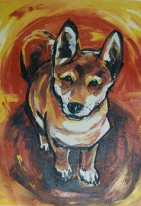 th-Asian Dog