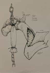 th-rat drawing
